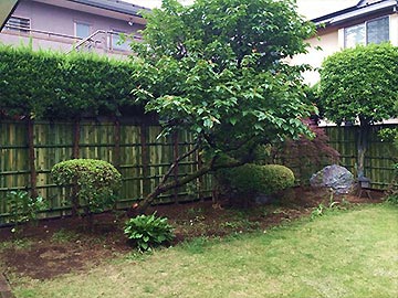 お庭の目隠し 生垣 竹垣の造成 東京都の植木屋なら 満足度98 植木屋瀬之口