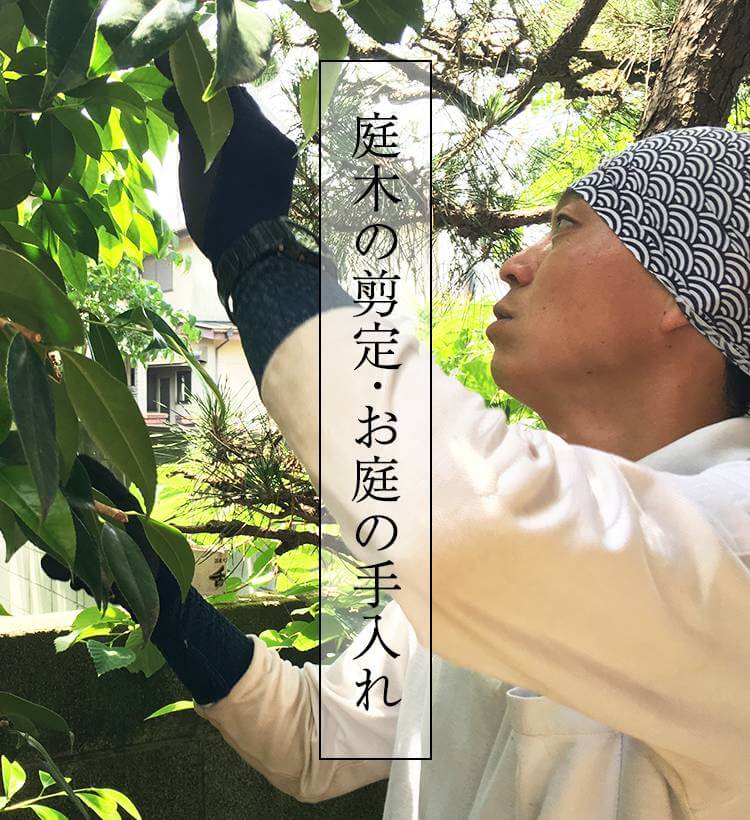 東京都の植木屋なら、満足度98%「植木屋瀬之口」