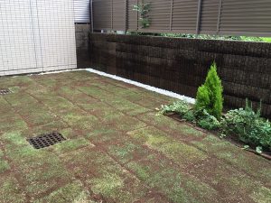 施工後：東京都豊島区／天然芝の芝張り