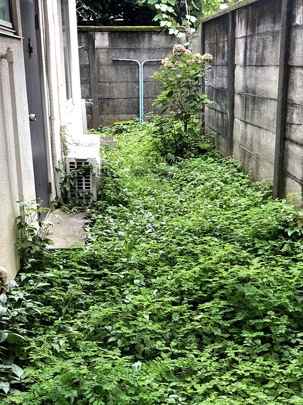 施工前：東京都中野区／除草と防草シートの施工