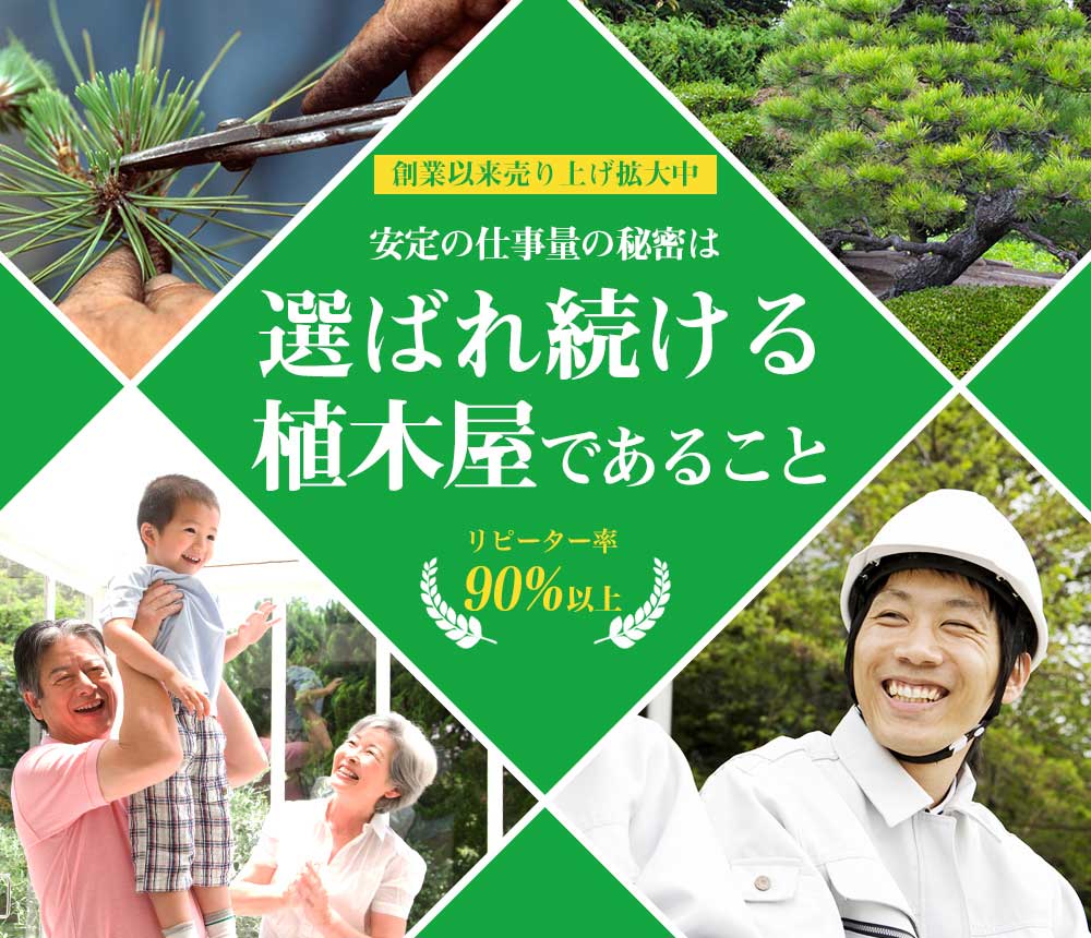 植木職人 造園工の求人募集 東京都の植木屋なら 満足度98 植木屋瀬之口