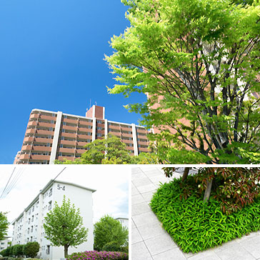 植栽・緑地帯の定期管理