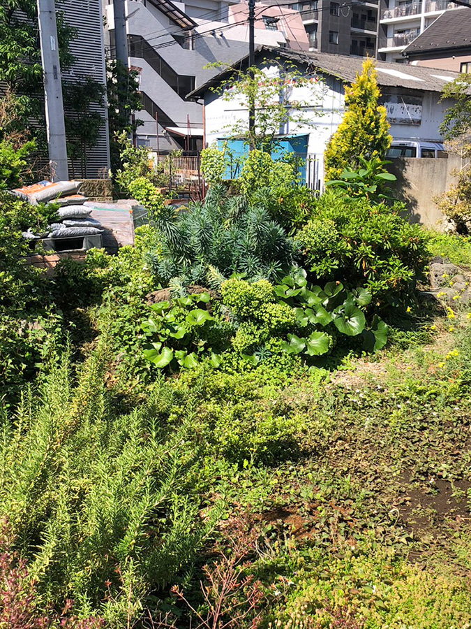施工前：東京都立川市／お庭のリフォーム